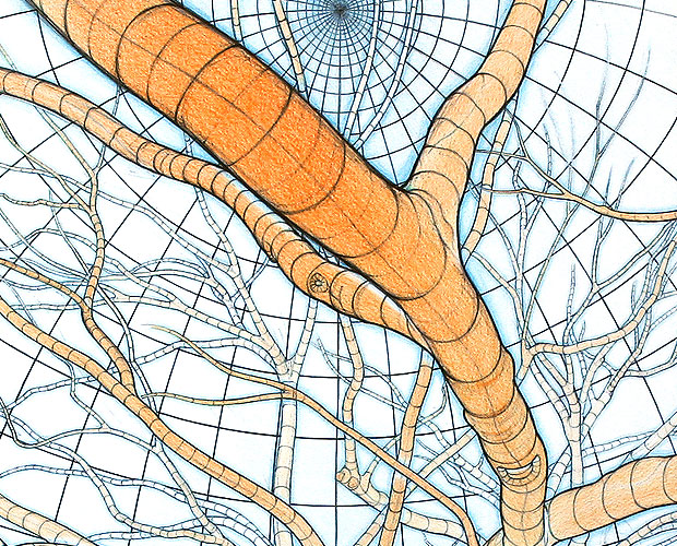 Under the Spread - A New Version of My Major Drawing - Detail 1