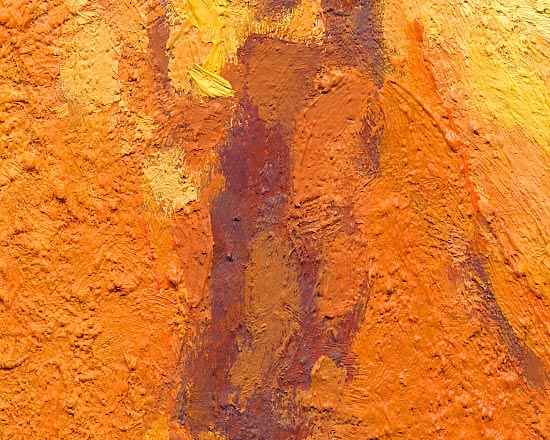 Cliffs of Witton Bluff - Detail 2