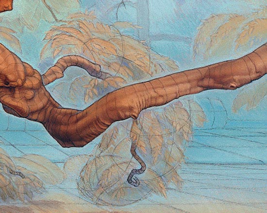 Form and Space  The Sugarberry Tree - Detail 3