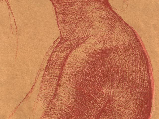 The Shoulder - Detail