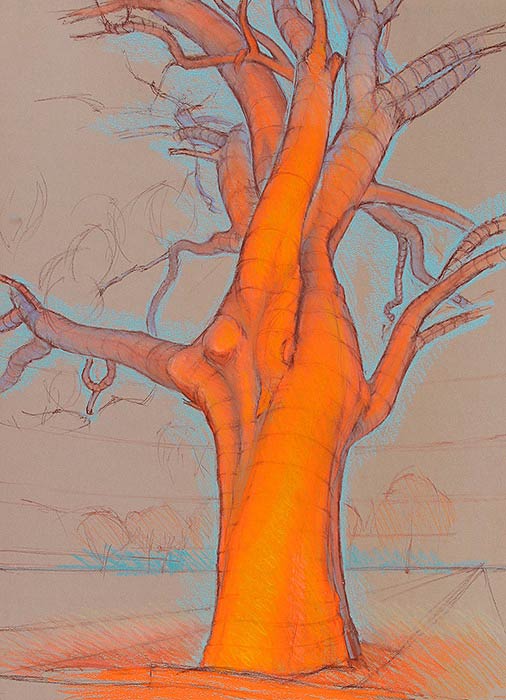 The Bee Tree - 2nd View