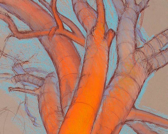 The Bee Tree - 2nd View - Detail 2