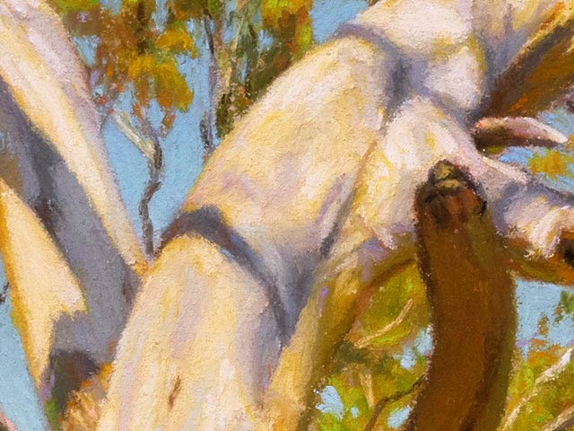 Small Tree in Ferguson Conservation Park - Detail 1