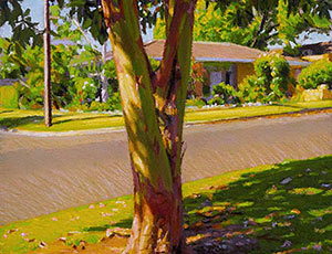Tree In Riesling Park