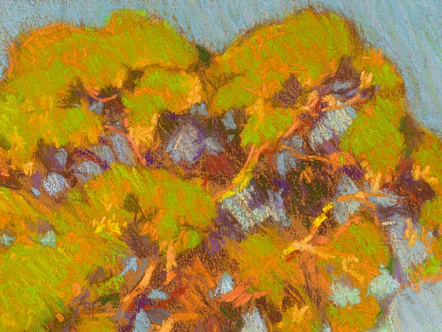 River Red Gum, Late Afternoon - Detail 2