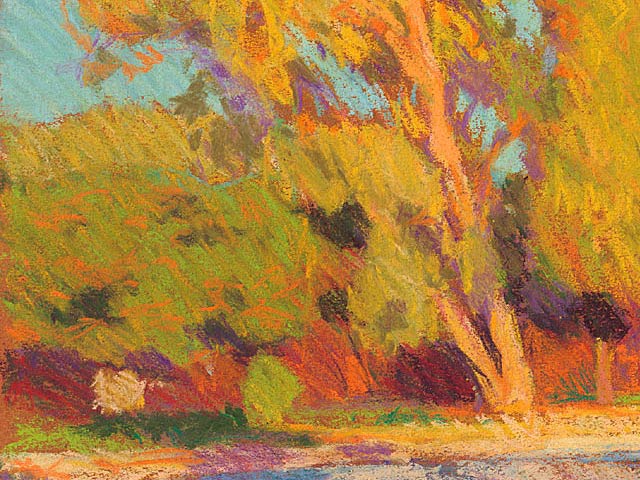 Old Tamarisk Pines in Afternoon Sunlight - Detail 5