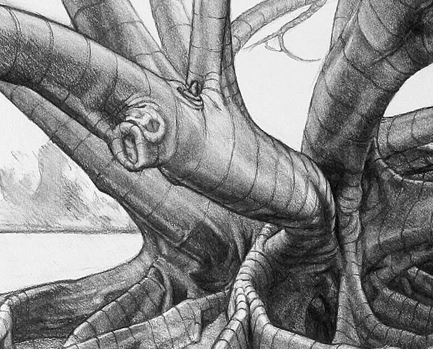 Study with Boughs and Buttress Roots Coming Forward - Detail 3