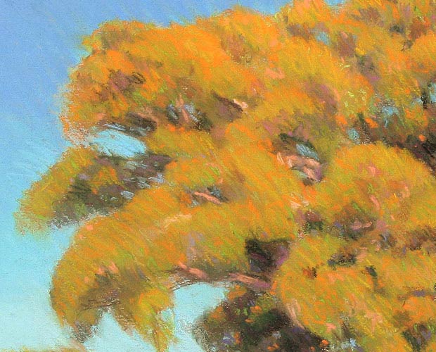 Colour Overview of the Tree Alone - Detail 2