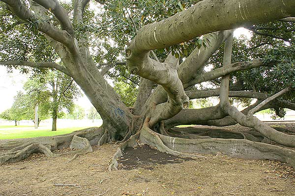 A photographic view of the subject in 2006 from a similar direction to that used for the drawing above.