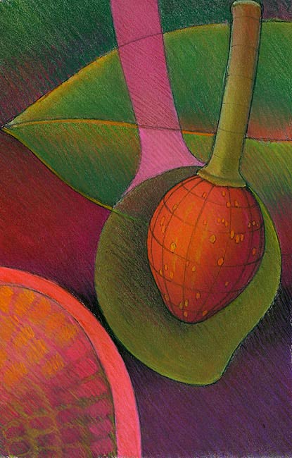 Moreton Bay Fig Fruit Composition - 2nd Version