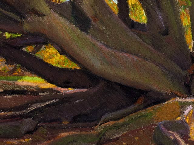 Pastel Of Moreton Bay Fig tree - Detail 2