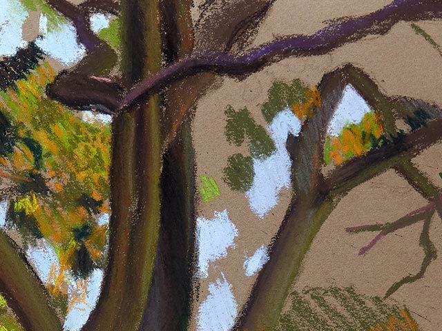 Pastel Of Moreton Bay Fig tree - Detail 4