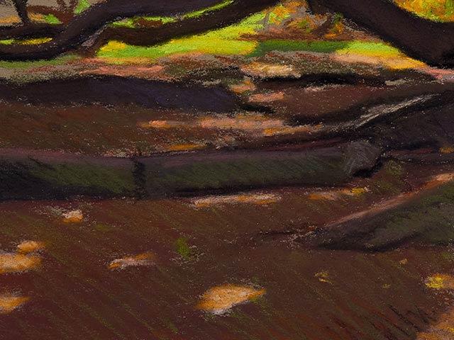 Pastel Of Moreton Bay Fig tree - Detail 5