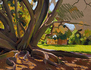 Pastel Of Moreton Bay Fig tree