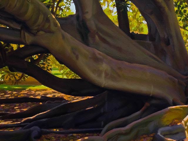 Under A Sunlit Canopy in Angas Gardens - Detail 2