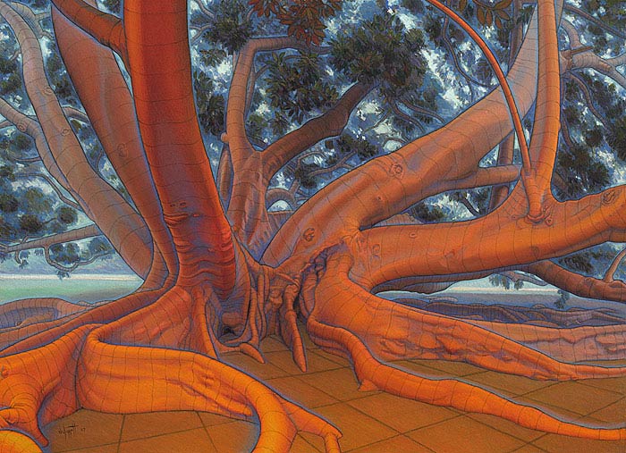 The Orange Tree - Form and Space