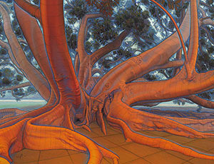 The Orange Tree - Form and Space