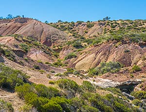 Photographs Taken at Hallett Cove Conservation Park