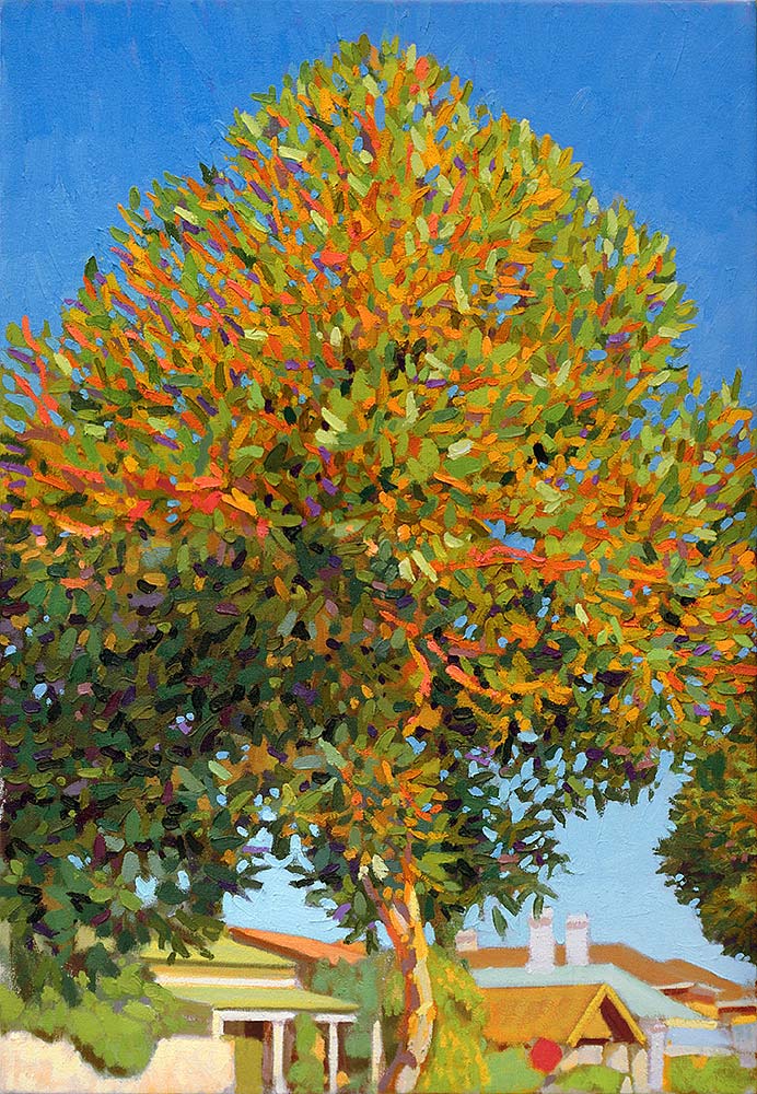 Street Tree, Glenelg