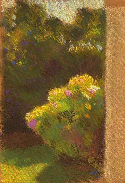 The Hydrangeas Behind Our House