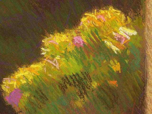 The Hydrangeas Behind Our House - Detail 1