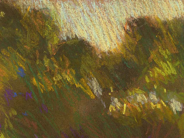 The Hydrangeas Behind Our House - Detail 2