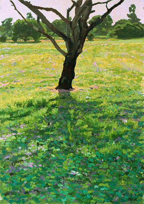 Little Tree Near the Swamp