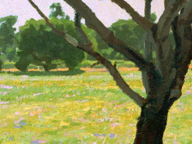 Little Tree Near the Swamp - Detail 1