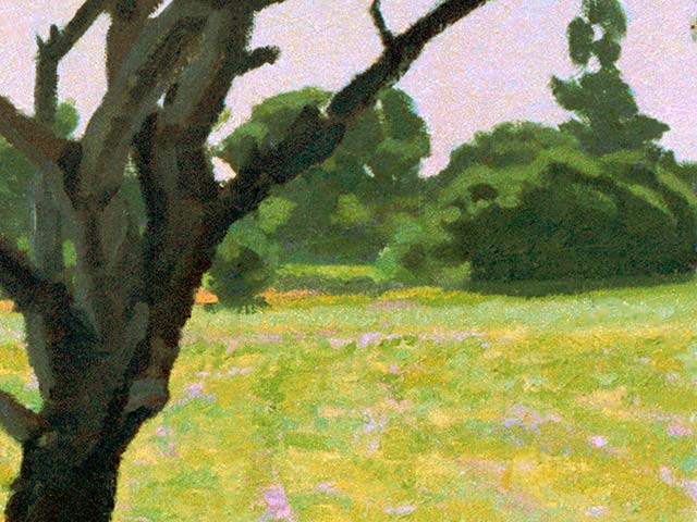 Little Tree Near the Swamp - Detail 3