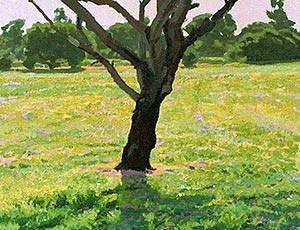 Little Tree Near the Swamp