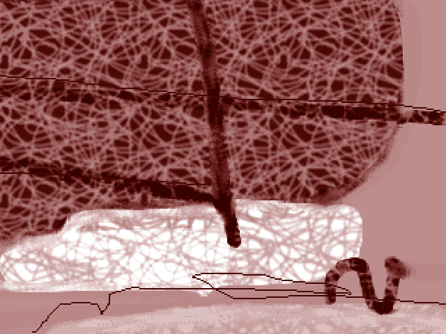 Sienna Sketch 2 - Enlarged Detail 2