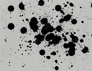 Splash Universe 2