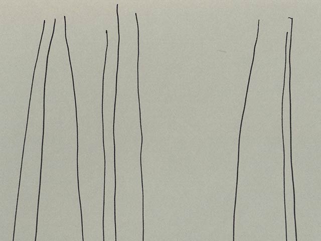 Vertical Lines - Detail 1