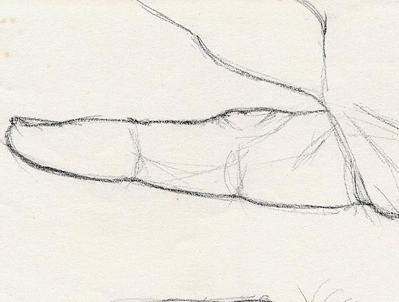 Studies of My Fingers - Detail 3