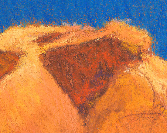 Weathered Clay Cliffs - Detail 1