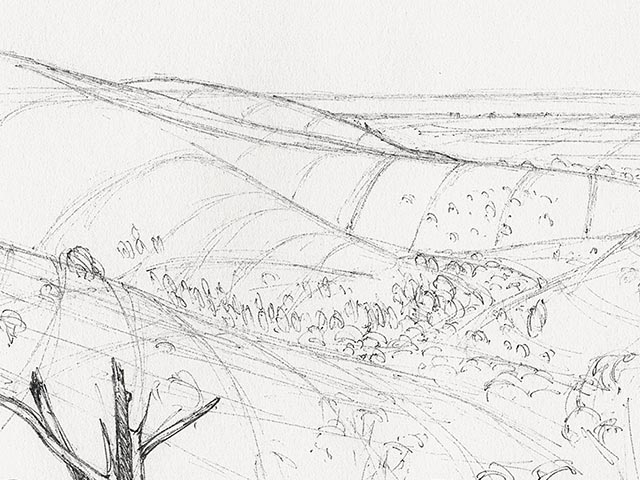 View Through the Adelaide Hills - Detail 1