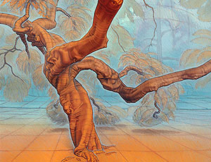 Form and Space – The Sugarberry Tree