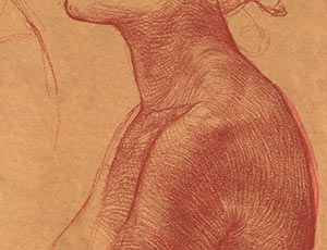 The Shoulder