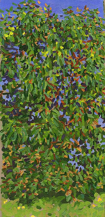 Foliage Texture