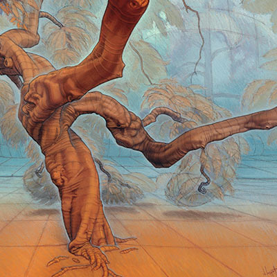 From "Form and Space – The Sugarberry Tree"