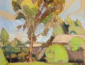 Backyard Scene
