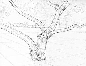 Paperbark Tree with Elegant Branching