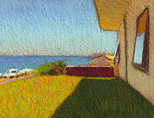 Front Yard in the Sun