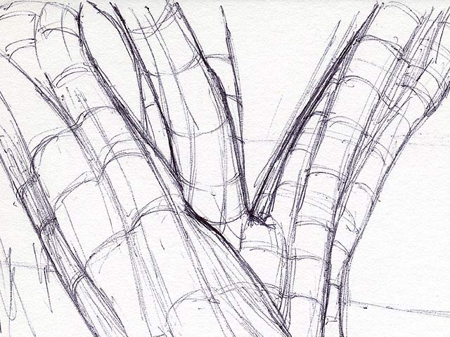 Weeping Myrtle 7 - Detail 1