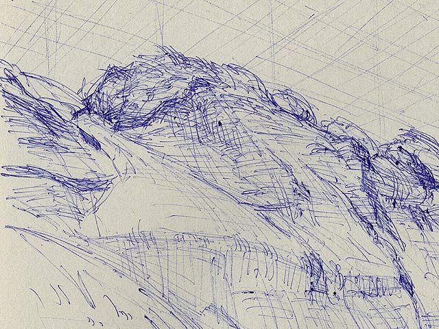 Sand-hills at West Beach - Detail 1