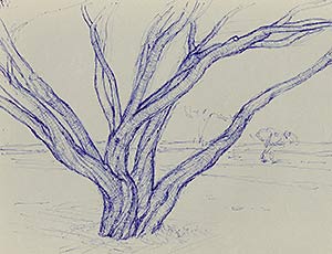 Rhythms within Trunks