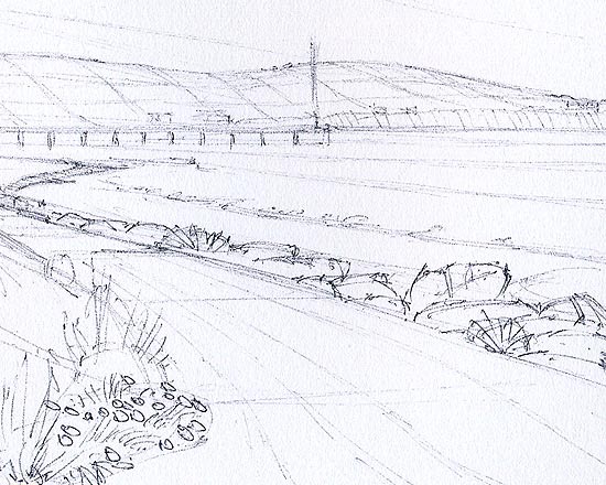 View of Hove Beach from Below the Aloe Vera Plants - Detail 3
