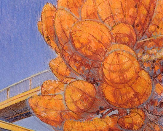 The Bridge in the Pine Forest at Flinders University - Detail 1