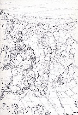 3 Main Depths in the Pine Forest at Flinders University - Preliminary drawing
