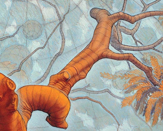 Form and Space – The Sugarberry Tree - Detail 2